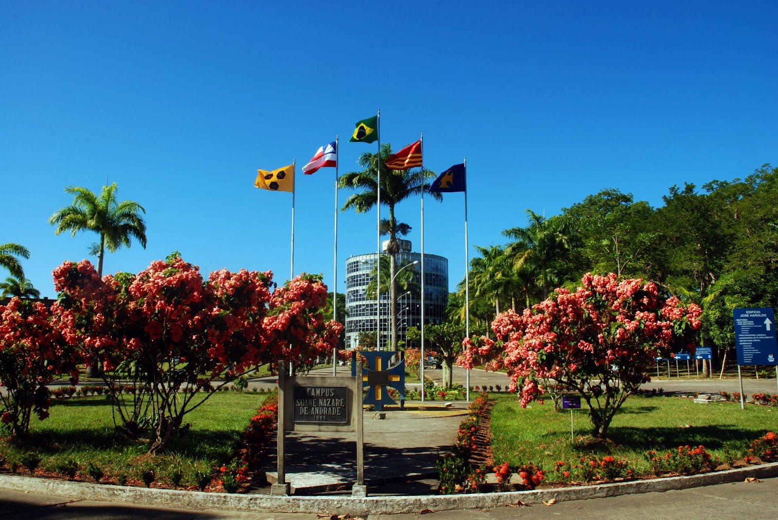 Estudantes já podem se preparar para as inscrições do Sisu 2026; são mais de 274 mil vagas
